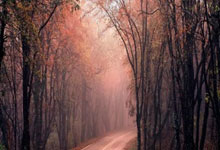 开云体育官网-多特蒙德绝杀热刺3:0，内马尔世界波破门欧冠