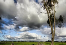 开云下载-日本羽毛球队横扫马来西亚：谌龙关键制胜引领新时代