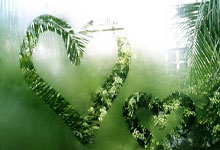 开云体育在线-火箭横扫马刺，霍勒迪关键制胜